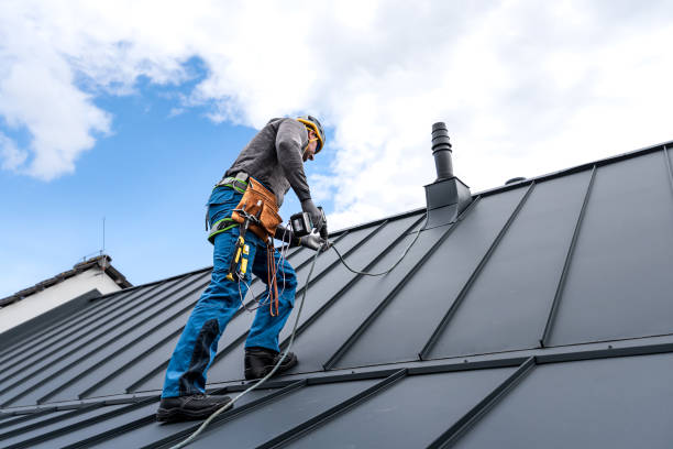 Best Sheet Metal Roofing  in Montpelier, ID